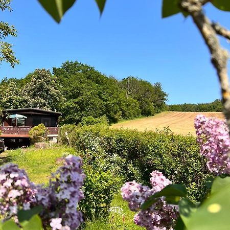 Ferienhaus Zittertal Neustadt Harz Haus I Villa Harztor Luaran gambar