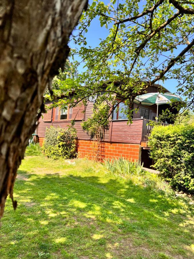 Ferienhaus Zittertal Neustadt Harz Haus I Villa Harztor Luaran gambar